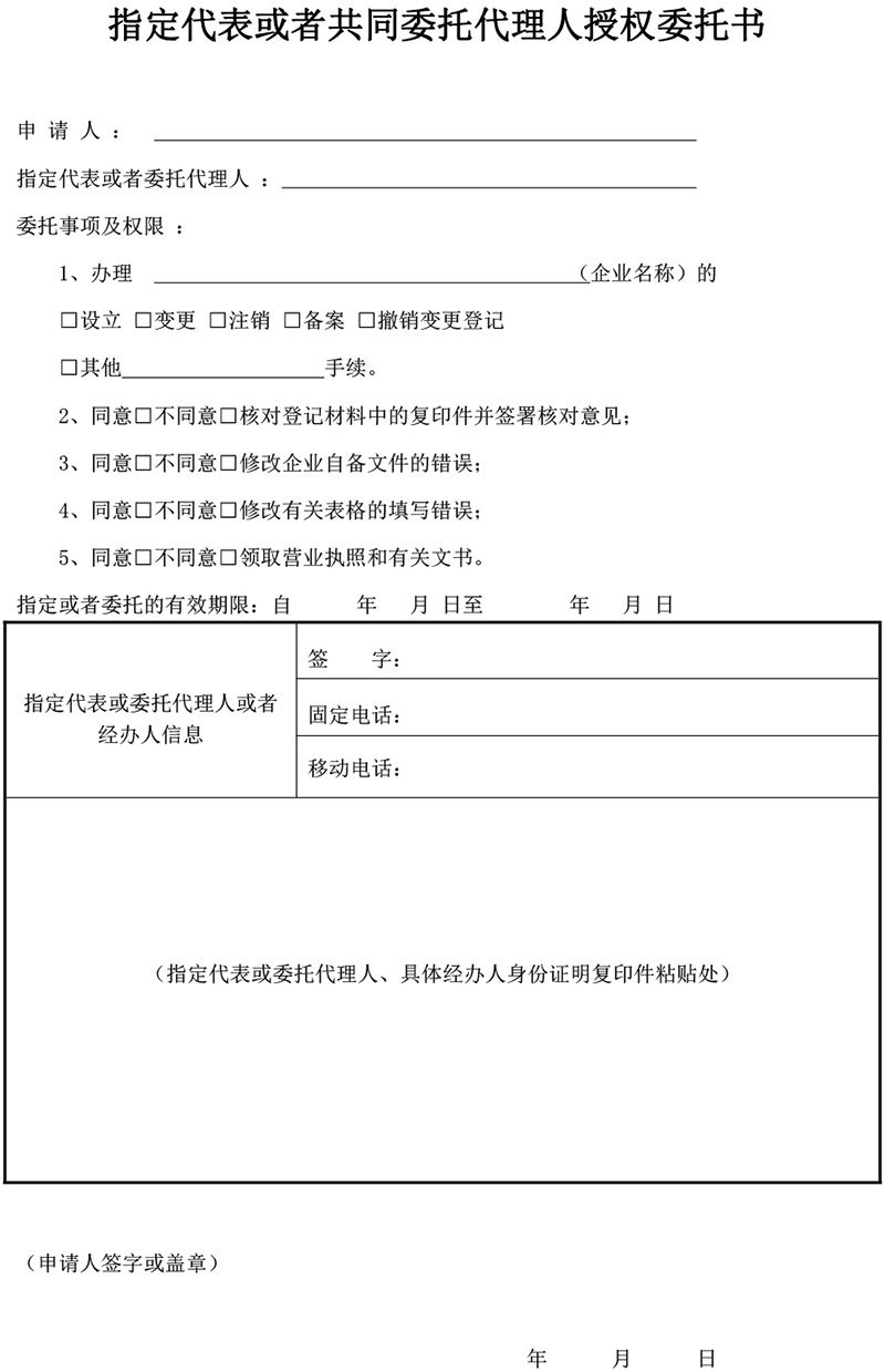 指定代表或者共同委托代理人授权委托书